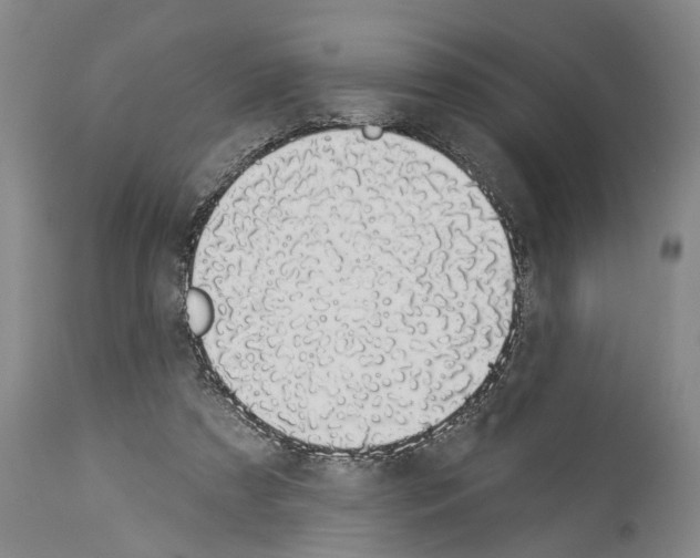 X0000114000305200911131147