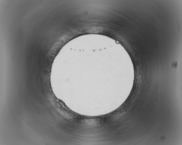 X0000114000307200911131147
