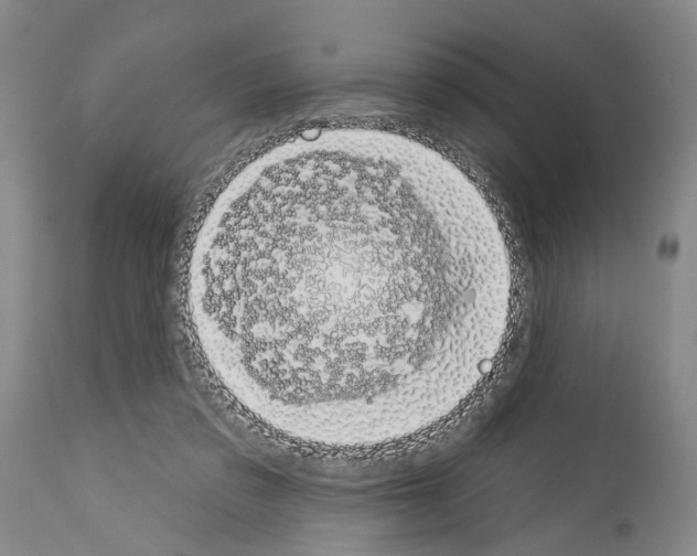 X0000114000309200911131147