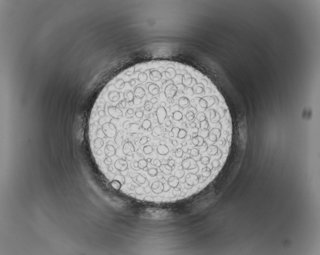 X0000114000311200911131147