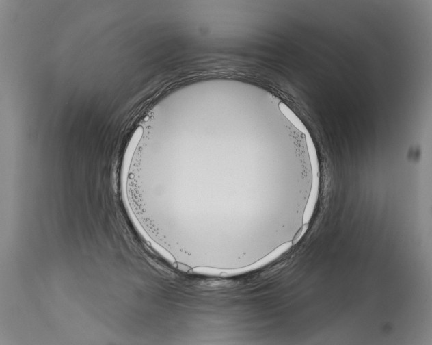 X0000114000313200911131147