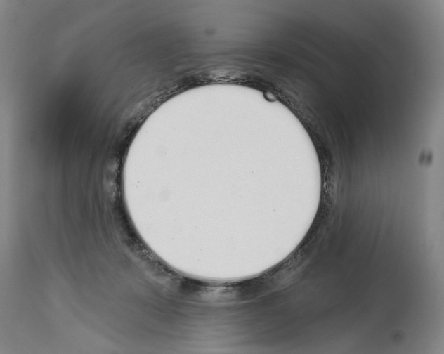 X0000114000319200911131146