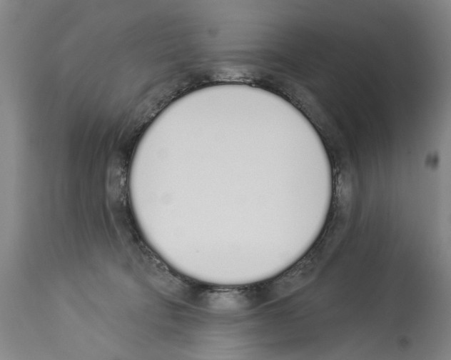 X0000114000322200911131146