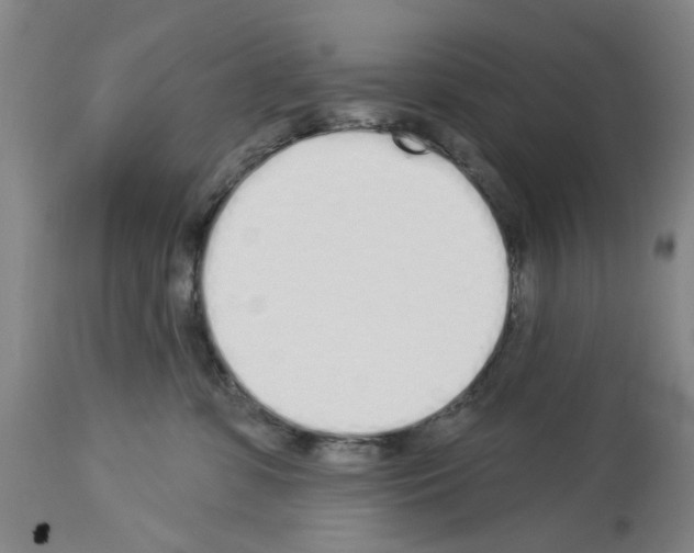 X0000114000331200911131146