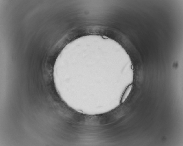 X0000114000332200911131146