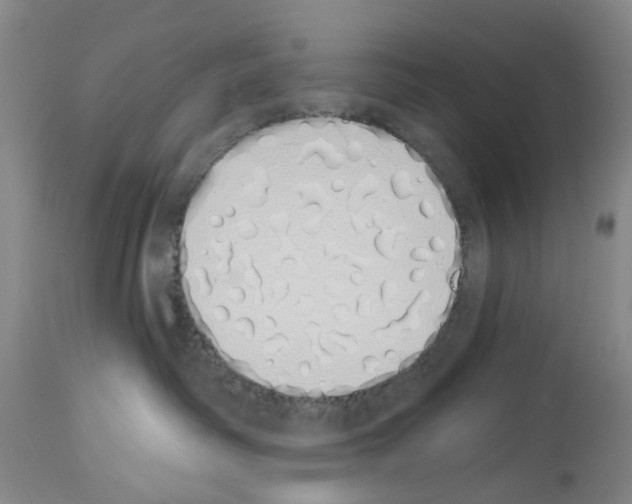 X0000114000334200911131146