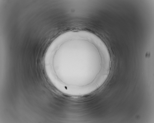 X0000114000336200911131146