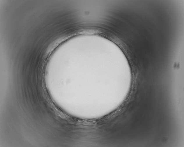 X0000114000337200911131146