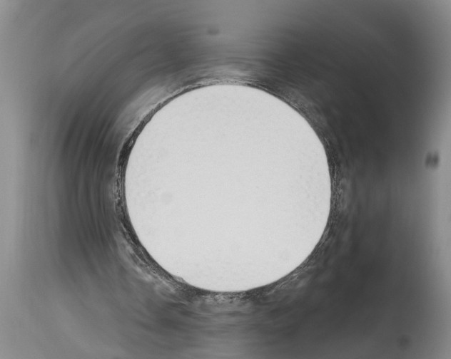 X0000114000338200911131146