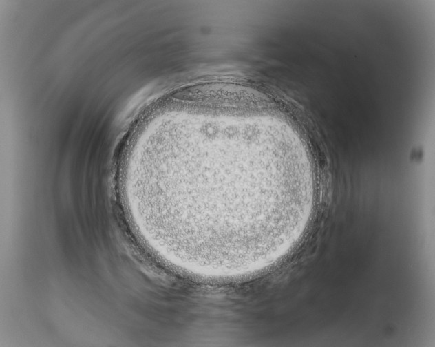 X0000114000339200911131146