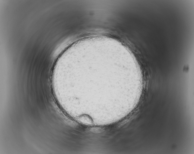 X0000114000341200911131146