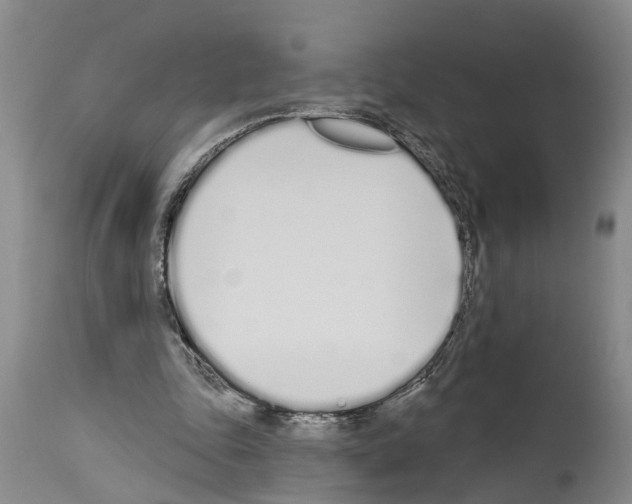 X0000114000343200911131146