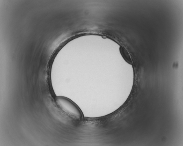 X0000114000344200911131146