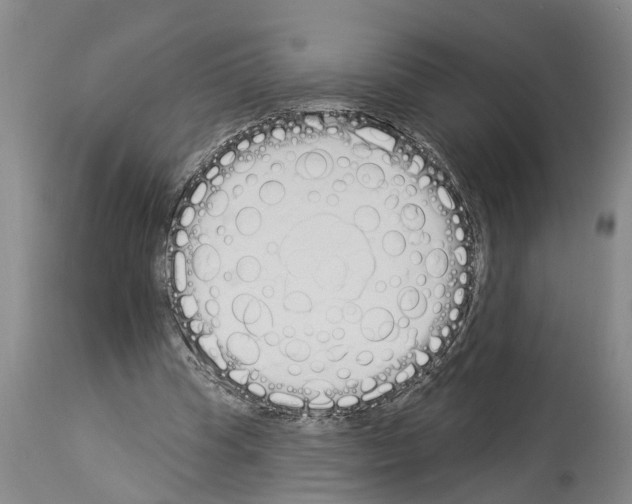X0000114000345200911131146