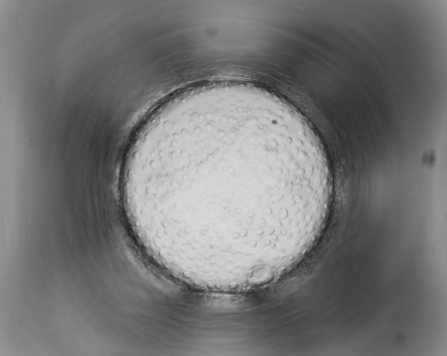 X0000114000347200911131146