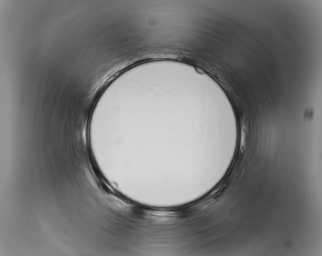 X0000114000348200911131146