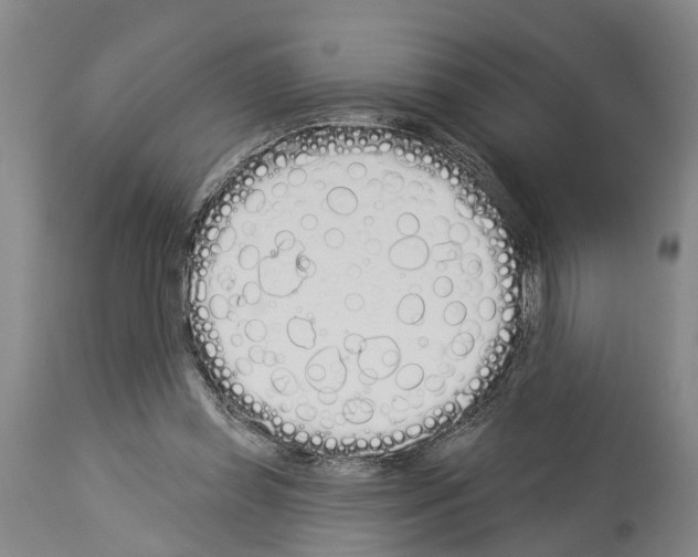 X0000114000349200911131146