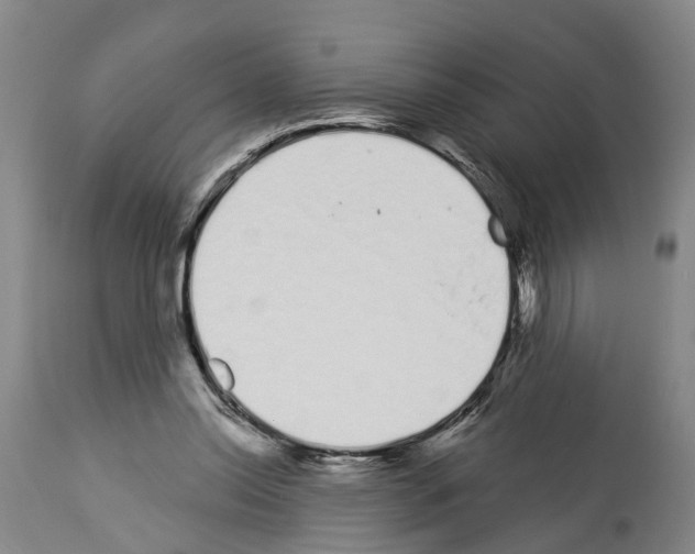 X0000114000350200911131146