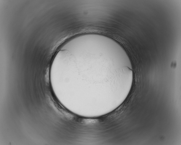 X0000114000352200911131146