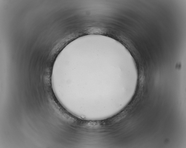 X0000114000353200911131146