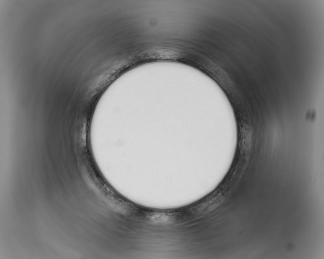 X0000114000358200911131146
