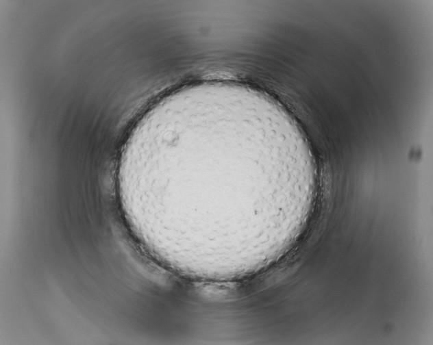 X0000114000359200911131146