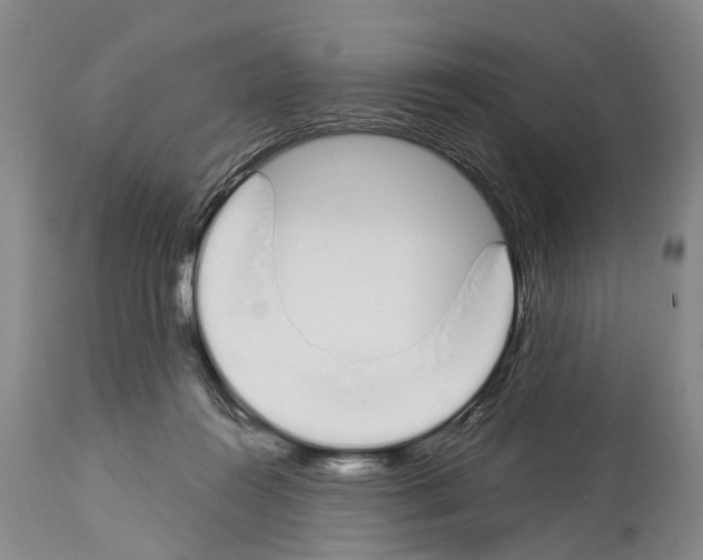 X0000114000360200911131146