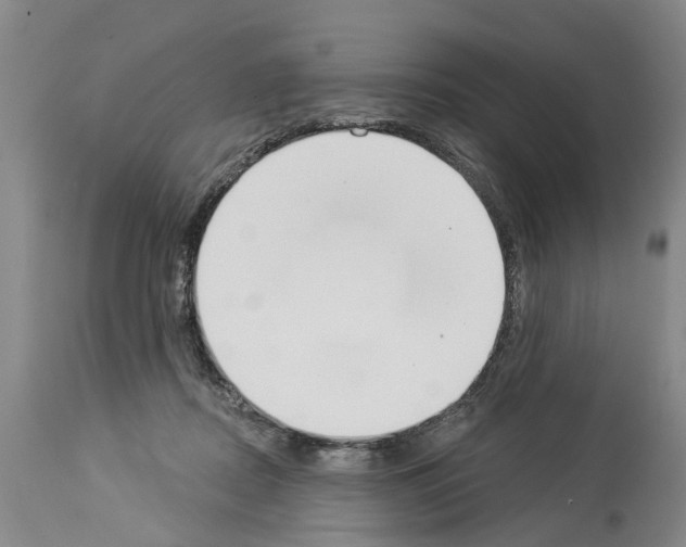 X0000114000362200911131146
