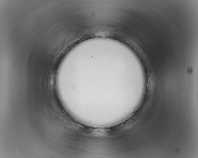 X0000114000363200911131146
