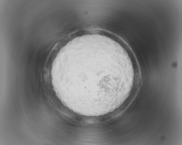 X0000114000365200911131146