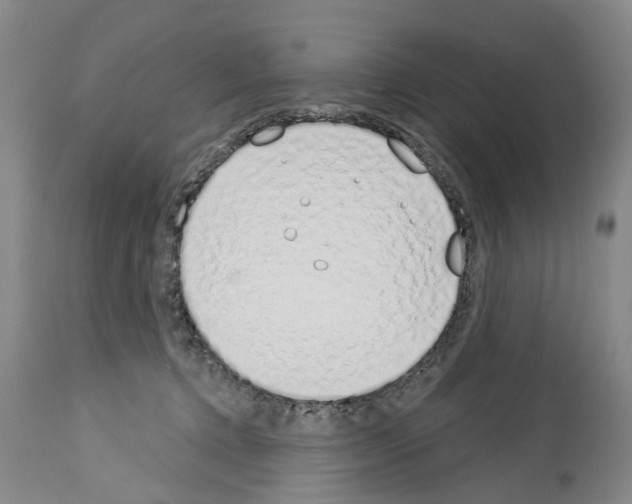 X0000114000368200911131146