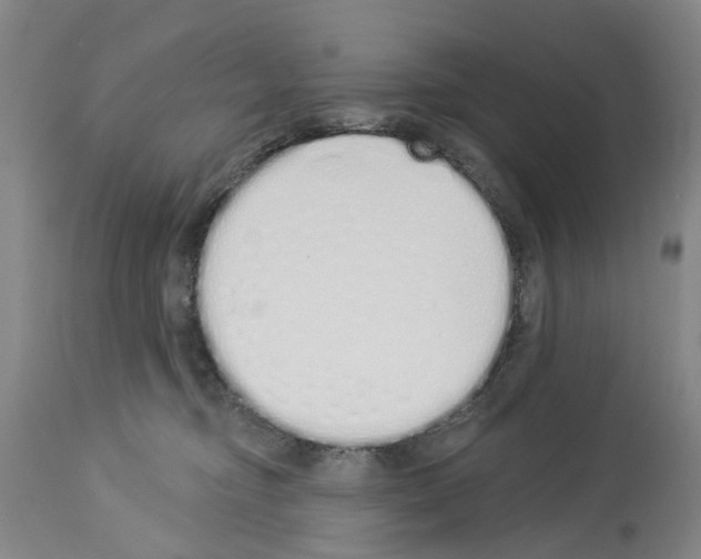 X0000114000374200911131146