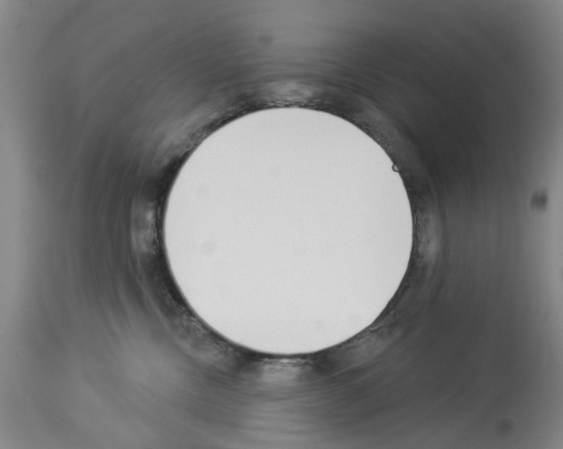 X0000114000378200911131146