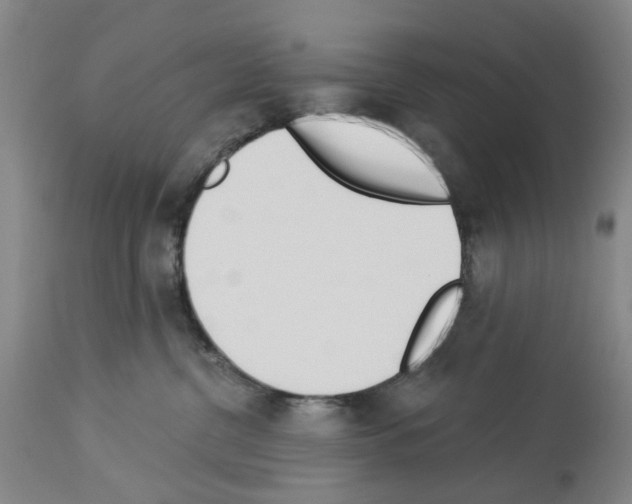 X0000114000380200911131146