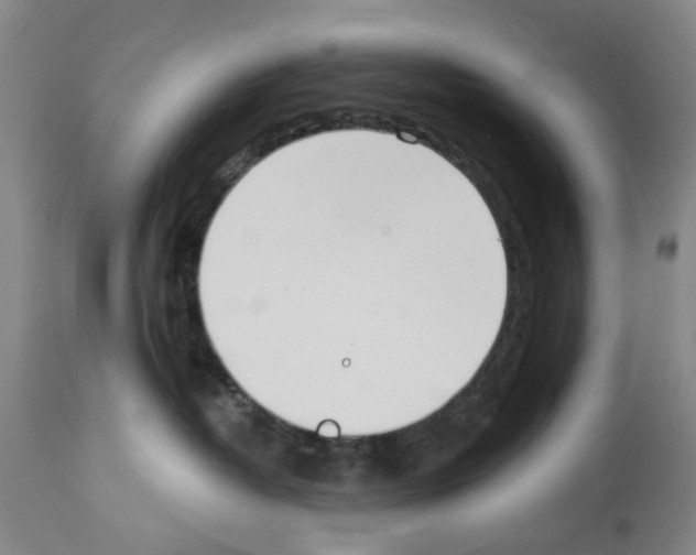 X0000114000382200911131146