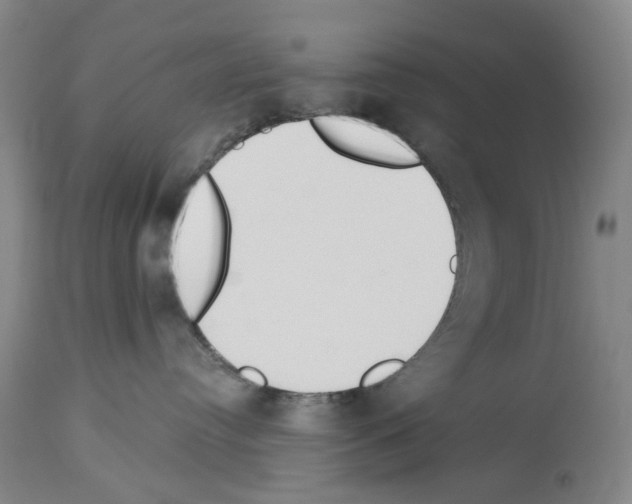 X0000114000384200911131146