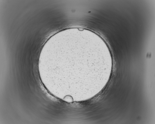 X0000114000385200911131146