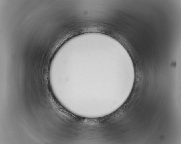 X0000114000386200911131146