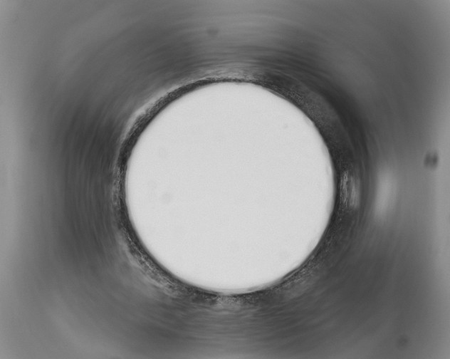 X0000114000388200911131145
