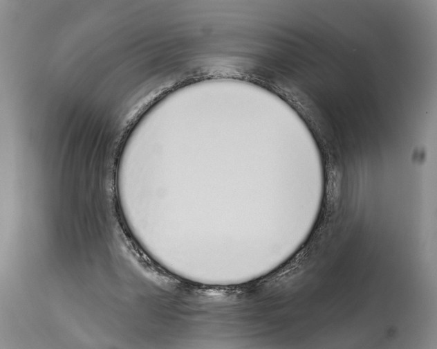 X0000114000390200911131145