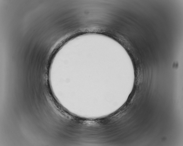 X0000114000392200911131145