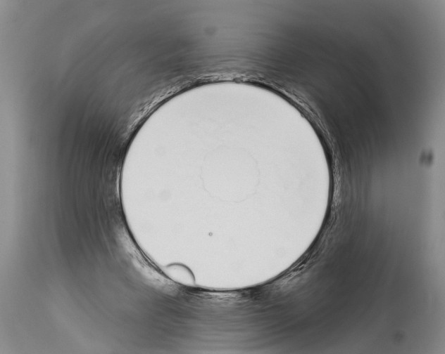 X0000114000393200911131145
