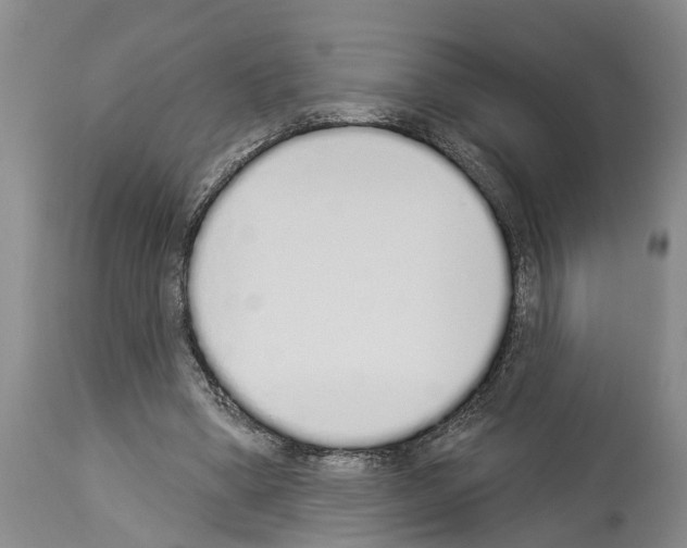 X0000114000394200911131145