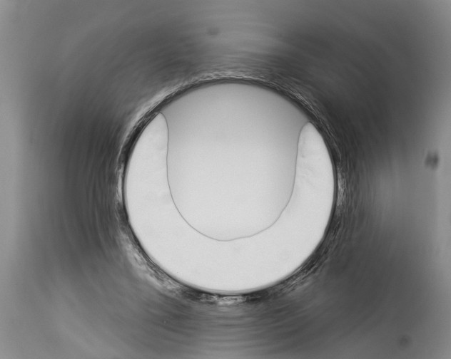 X0000114000395200911131145