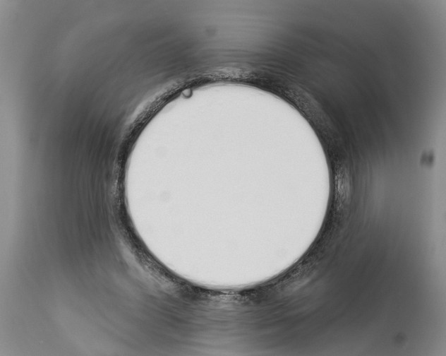 X0000114000396200911131145