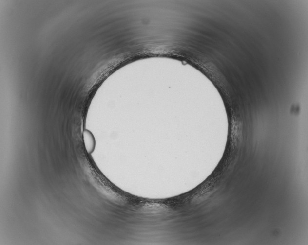 X0000114000397200911131145