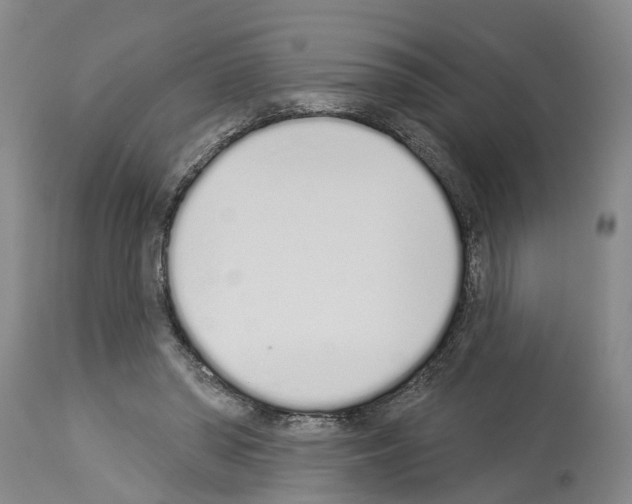 X0000114000398200911131145