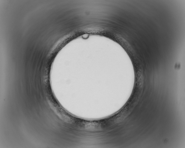 X0000114000400200911131145