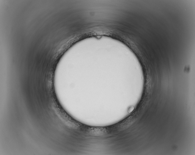 X0000114000402200911131145