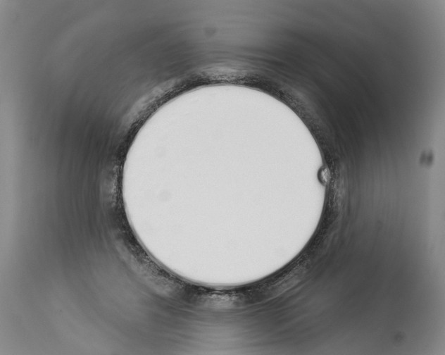 X0000114000404200911131145